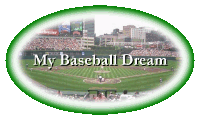 My Baseball Dream